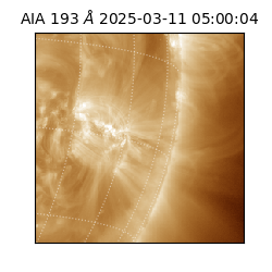 saia - 2025-03-11T05:00:04.843000