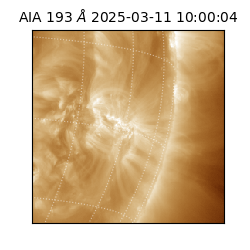 saia - 2025-03-11T10:00:04.835000