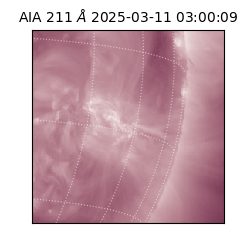 saia - 2025-03-11T03:00:09.632000