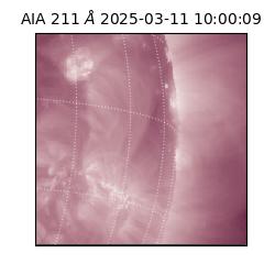 saia - 2025-03-11T10:00:09.615000