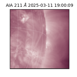 saia - 2025-03-11T19:00:09.618000