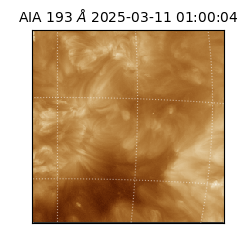 saia - 2025-03-11T01:00:04.843000