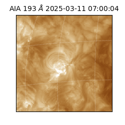 saia - 2025-03-11T07:00:04.847000