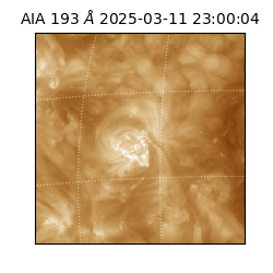 saia - 2025-03-11T23:00:04.843000