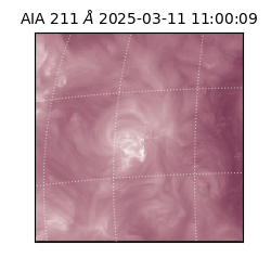 saia - 2025-03-11T11:00:09.625000