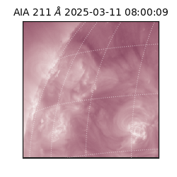 saia - 2025-03-11T08:00:09.633000