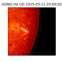 gong - 2025-03-11T03:00:02