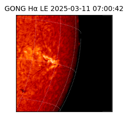 gong - 2025-03-11T07:00:42
