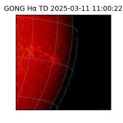 gong - 2025-03-11T11:00:22