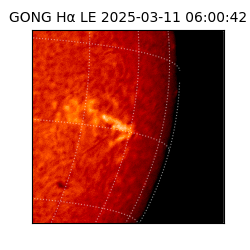 gong - 2025-03-11T06:00:42
