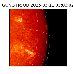 gong - 2025-03-11T03:00:02