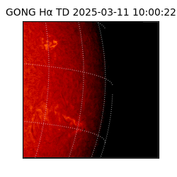 gong - 2025-03-11T10:00:22
