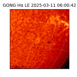 gong - 2025-03-11T06:00:42
