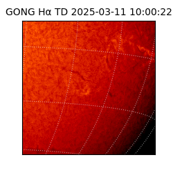 gong - 2025-03-11T10:00:22
