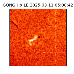 gong - 2025-03-11T05:00:42