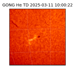 gong - 2025-03-11T10:00:22