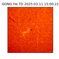 gong - 2025-03-11T15:00:22