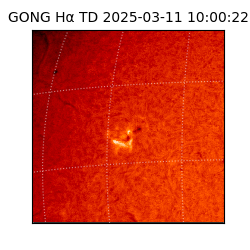 gong - 2025-03-11T10:00:22