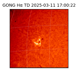 gong - 2025-03-11T17:00:22