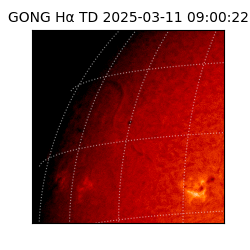 gong - 2025-03-11T09:00:22
