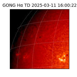 gong - 2025-03-11T16:00:22