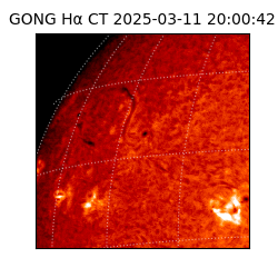 gong - 2025-03-11T20:00:42