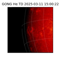 gong - 2025-03-11T15:00:22