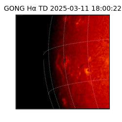 gong - 2025-03-11T18:00:22