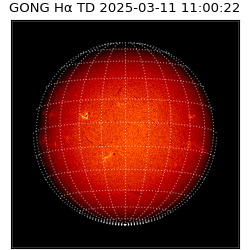 gong - 2025-03-11T11:00:22