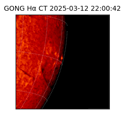 gong - 2025-03-12T22:00:42