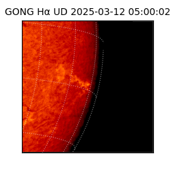 gong - 2025-03-12T05:00:02