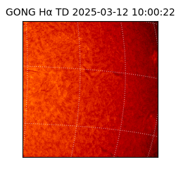 gong - 2025-03-12T10:00:22