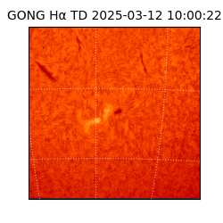 gong - 2025-03-12T10:00:22