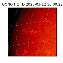 gong - 2025-03-12T10:00:22