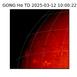 gong - 2025-03-12T10:00:22