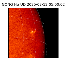 gong - 2025-03-12T05:00:02