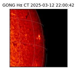 gong - 2025-03-12T22:00:42