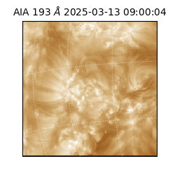 saia - 2025-03-13T09:00:04.844000