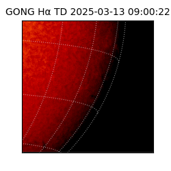 gong - 2025-03-13T09:00:22