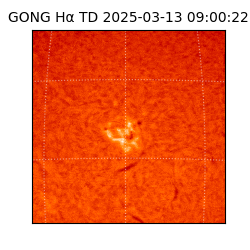 gong - 2025-03-13T09:00:22