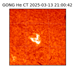 gong - 2025-03-13T21:00:42
