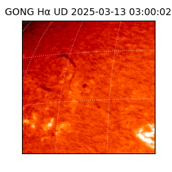 gong - 2025-03-13T03:00:02