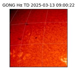 gong - 2025-03-13T09:00:22