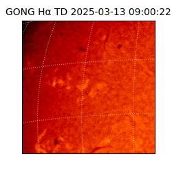 gong - 2025-03-13T09:00:22
