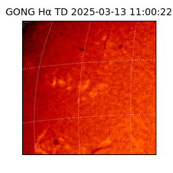 gong - 2025-03-13T11:00:22