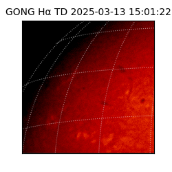 gong - 2025-03-13T15:01:22