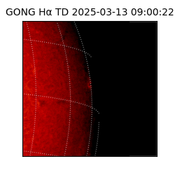 gong - 2025-03-13T09:00:22