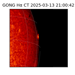gong - 2025-03-13T21:00:42