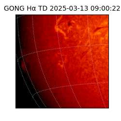 gong - 2025-03-13T09:00:22