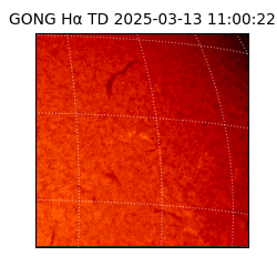 gong - 2025-03-13T11:00:22